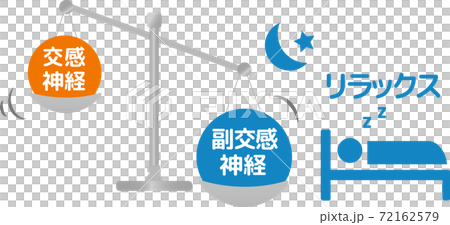 Autonomic nerve human body diagram Parasympathetic nerve Sympathetic nerve 72162579