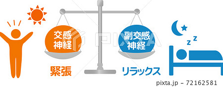 自律神経 人体図 副交感神経交感神経のイラスト素材