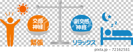 自律神経 人体図 副交感神経交感神経 72162581