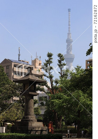 東京都墨田区の横網町公園から見える東京スカイツリーの写真素材