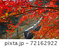 真赤な紅葉と特急電車 72162922