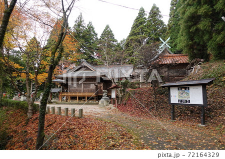 島根県鹿足郡吉賀町 新宮神社参道・本殿の秋 島根県鹿足郡吉賀町 新宮神社参道・本殿の秋 72164329
