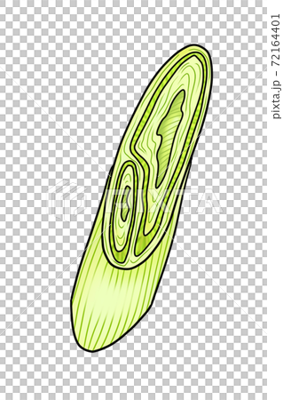 Vegetable green onion ② (with main line) Can also be used for hot pots, bento boxes, and cooking images Combination series Vegetable green onion ② (with main line) Can also be used for hot pots, bento boxes, and cooking images Combination series 72164401