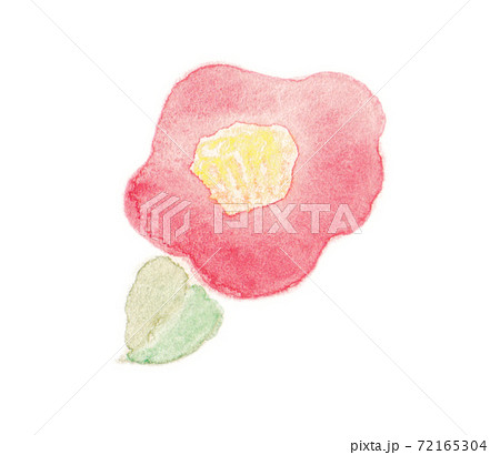 年賀状素材14: 2022年　水彩風　寒椿　手描き 透過 72165304
