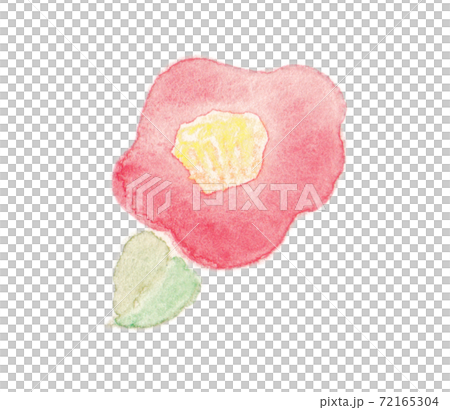 年賀状素材14: 2022年　水彩風　寒椿　手描き 透過 72165304