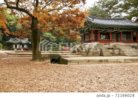 風景 秋 故宮 72166028