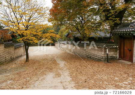 秋 公園 スポット 72166029