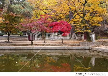 秋 世界文化遺産 池 72166052
