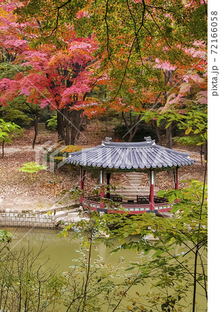 秋 公園 池 72166058