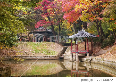秋 公園 池 72166072
