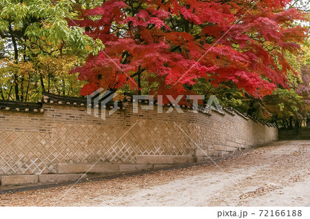 秋 世界文化遺産 公園 72166188