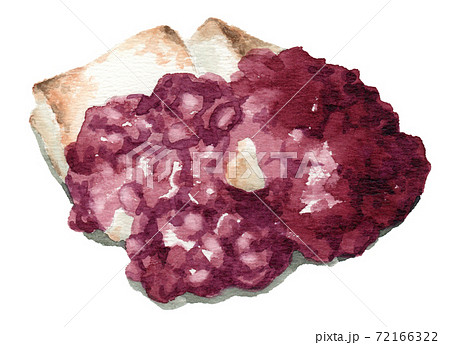 アナログ水彩あんこ餅粒あんのイラスト素材