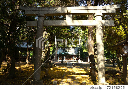 パワースポット 埼玉県久喜市菖蒲町の神明神社の社叢の写真素材