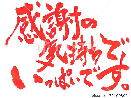 感謝の気持ちでいっぱいです。 ・・・文字、朱文字 感謝の気持ちでいっぱいです。 ・・・文字、朱文字 72169302