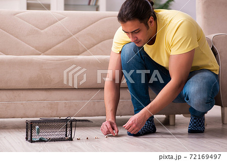 Young man and mousetrap at home Young man and mousetrap at home 72169497