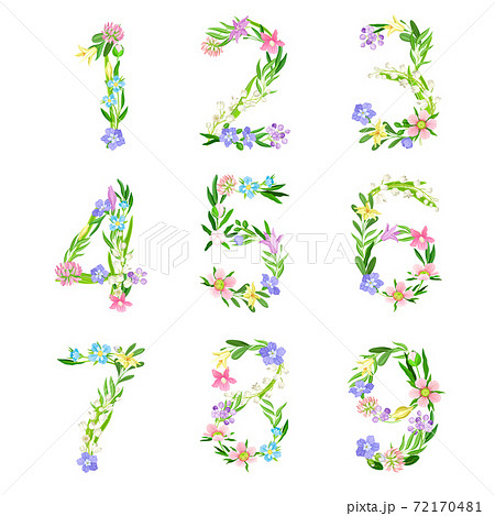 Tender Floral Numbers with Decorative Nature Elements Vector Set 72170481