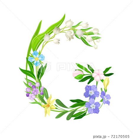 Alphabetical Character G Arranged from Fresh Meadow Flora Vector Illustration Alphabetical Character G Arranged from Fresh Meadow Flora Vector Illustration 72170505