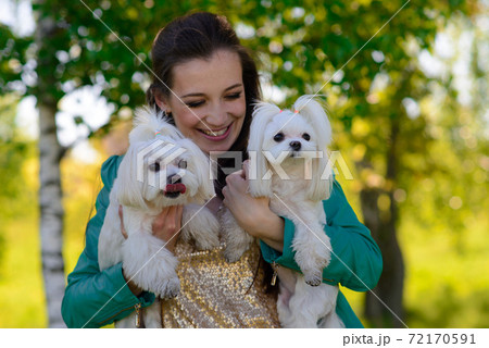 Puppy white dog with it's owner. Concept about friendship, animal and freedom. 72170591