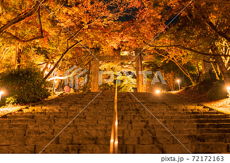 秋の竈門神社 夜の紅葉ライトアップ 福岡県太宰府市 の写真素材