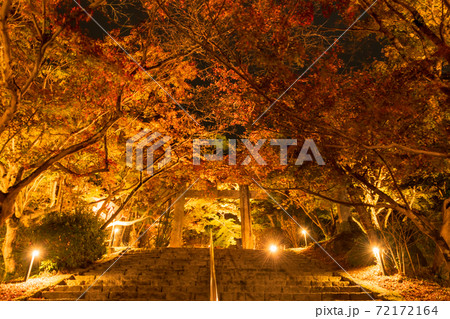 秋の竈門神社 夜の紅葉ライトアップ【福岡県太宰府市】 72172164
