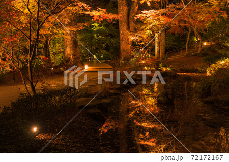 秋の竈門神社 夜の紅葉ライトアップ 福岡県太宰府市 の写真素材