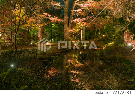 秋の竈門神社 夜の紅葉ライトアップ 福岡県太宰府市 の写真素材