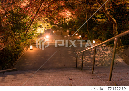 秋の竈門神社 夜の紅葉ライトアップ 福岡県太宰府市 の写真素材
