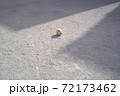 公園の砂地の光と影の間に転がるサッカーボール 72173462