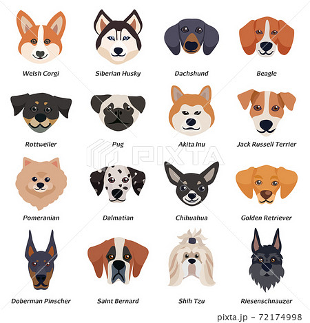 Purebred Dogs Faces Icon Setのイラスト素材