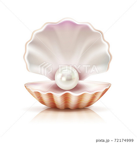 Shell Pearl Realistic Isolated Imageのイラスト素材