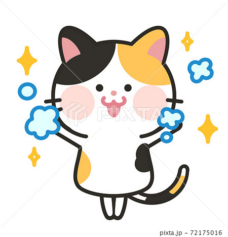 手洗い ばんざい 綺麗好き猫 衛生的な猫のイラスト素材