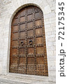 Door in wood and copper 72175345