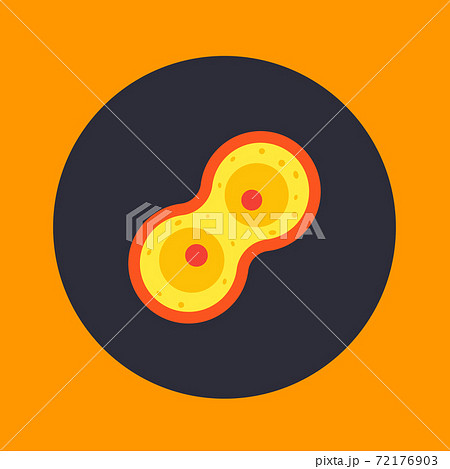 Cell division process, mitosis icon 72176903