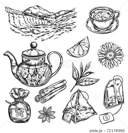 Herbal Tea Teapot 72176960