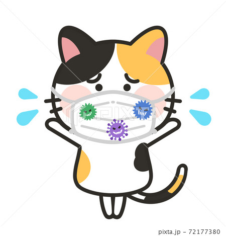 マスクに付着するウイルス　猫　感染対策　予防 72177380