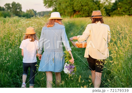Woman with two daughters walking in meadow with basket, back view 72179339