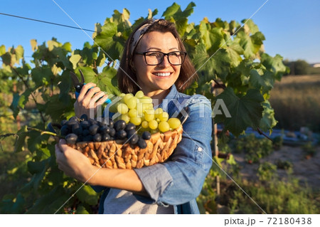 Portrait of happy woman with basket of grapes Portrait of happy woman with basket of grapes 72180438