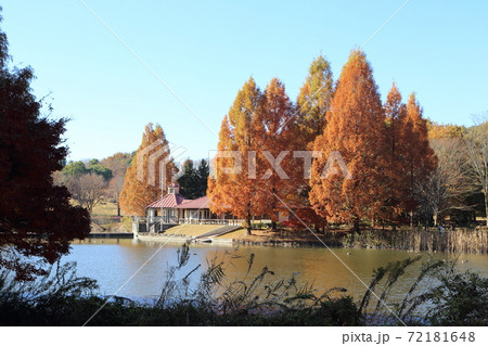 冒険の湖とカヌーの家 72181648