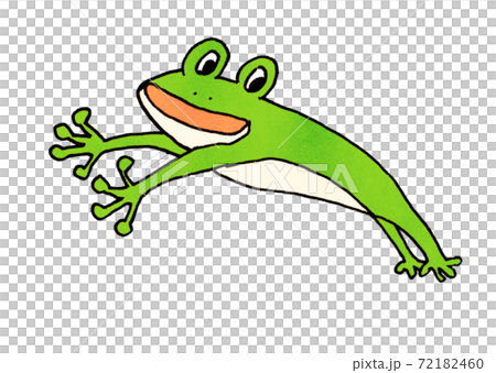 ジャンプするカエルの手描きイラストのイラスト素材