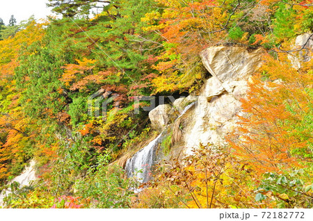 山形市山寺面白山　錦秋の紅葉川渓谷　藤花の滝 72182772