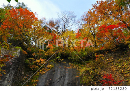 山形市山寺面白山 錦秋の紅葉川渓谷 山形市山寺面白山 錦秋の紅葉川渓谷 72183280
