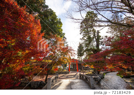 紅葉と流れる小川 72183429