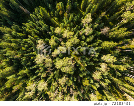 Beautiful Panoramic View of Canadian Nature 72183431