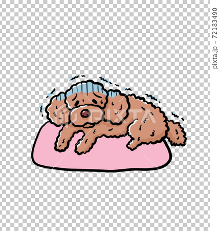 Illustration of a sick toy poodle Illustration of a sick toy poodle 72183490