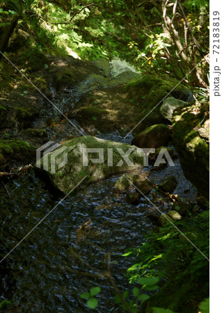 鳥取 四季の散歩 大山滝 鳥取 四季の散歩 大山滝 72183819