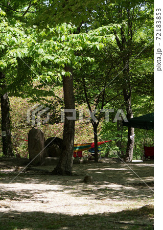 鳥取 四季の散歩 大山滝 鳥取 四季の散歩 大山滝 72183853