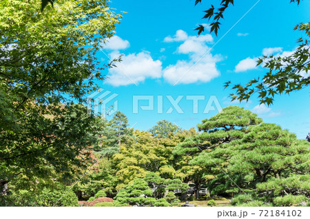 青空背景の日本庭園　 72184102