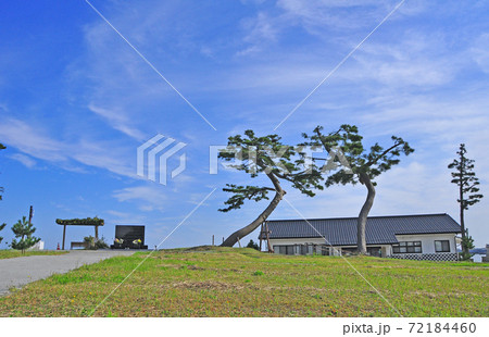 相馬市　笠岩公園の伝承鎮魂記念館、慰霊碑、奇跡の藤 72184460