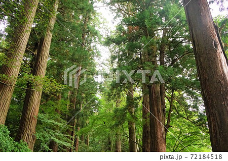 月見坂 岩手県西磐井郡平泉町 月見坂 岩手県西磐井郡平泉町 72184518