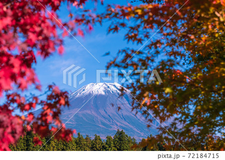 【道の駅朝霧高原からの富士山と紅葉】 【道の駅朝霧高原からの富士山と紅葉】 72184715